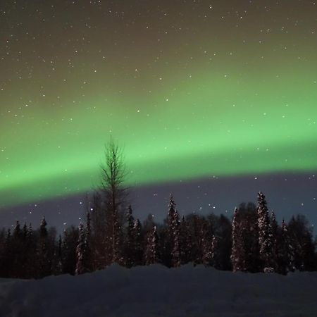 Susitna River Lodging, Backwoods Cabins Talkeetna Extérieur photo