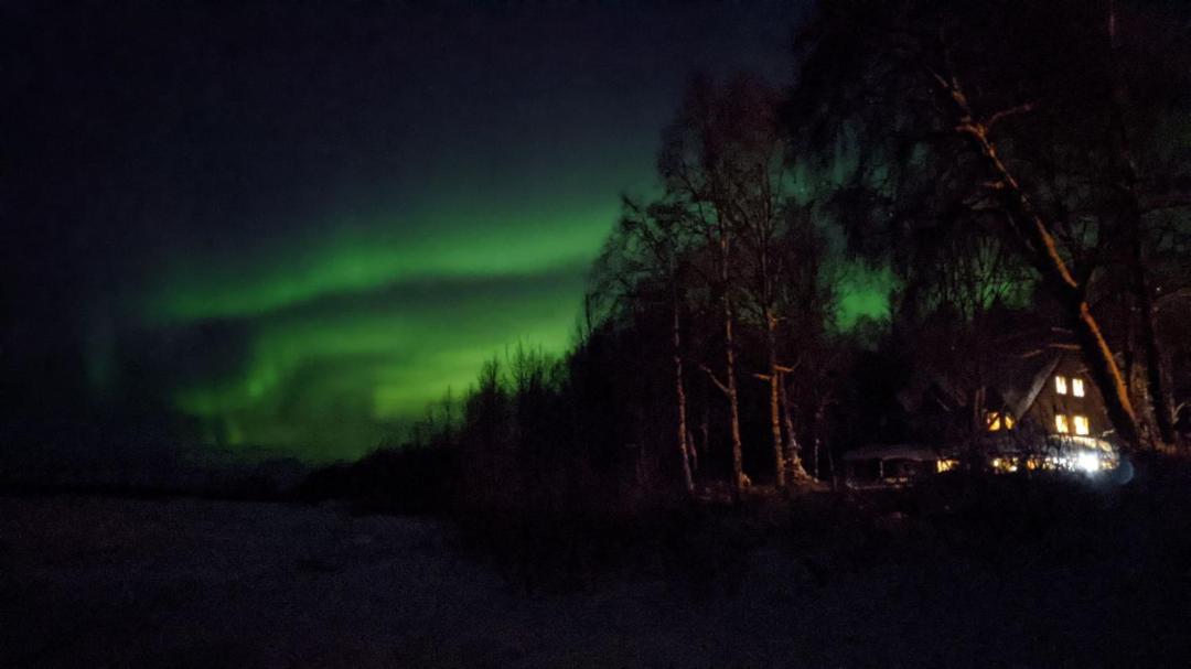 Susitna River Lodging, Backwoods Cabins Talkeetna Extérieur photo