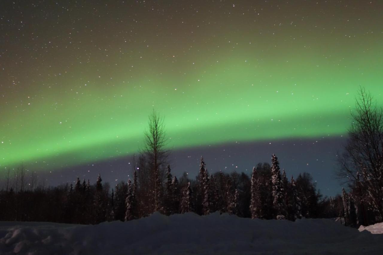 Susitna River Lodging, Backwoods Cabins Talkeetna Extérieur photo